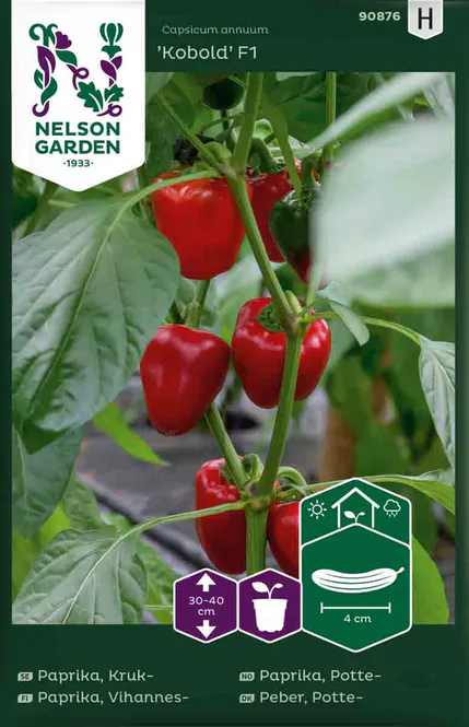 Hovedbilde Paprika ‘Kobold’
