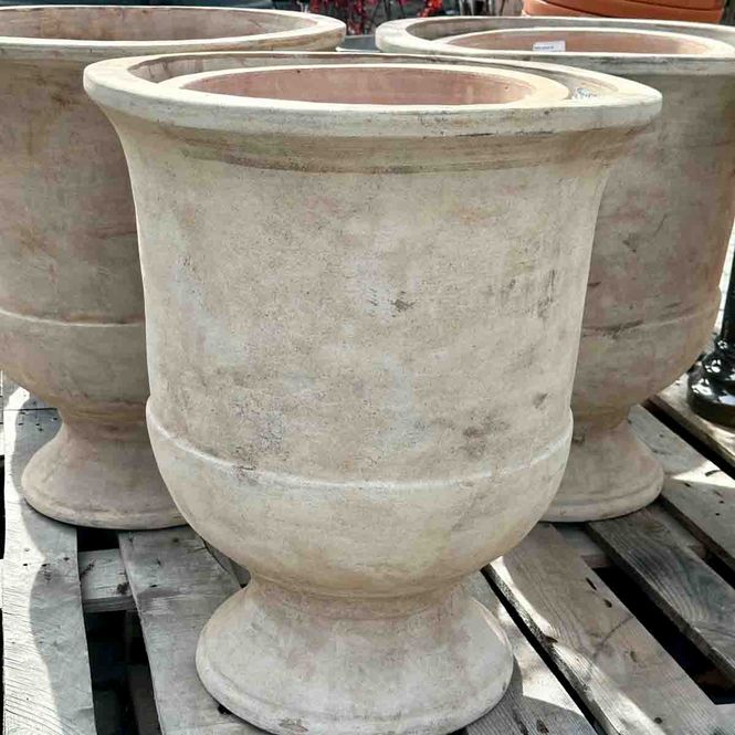 Hovedbilde Talia Pokal