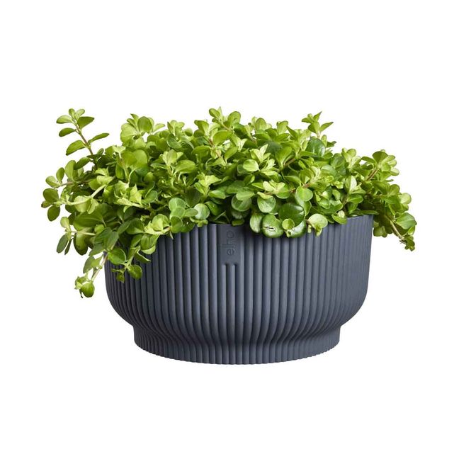 Hovedbilde Vibes planteskål, antrasitt