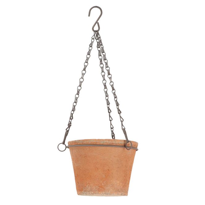 Hovedbilde AT potte i ampeloppheng