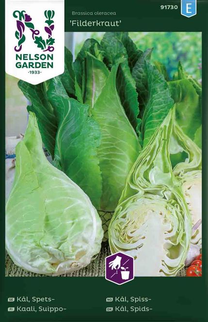 Hovedbilde Spisskål 'Filderkraut'