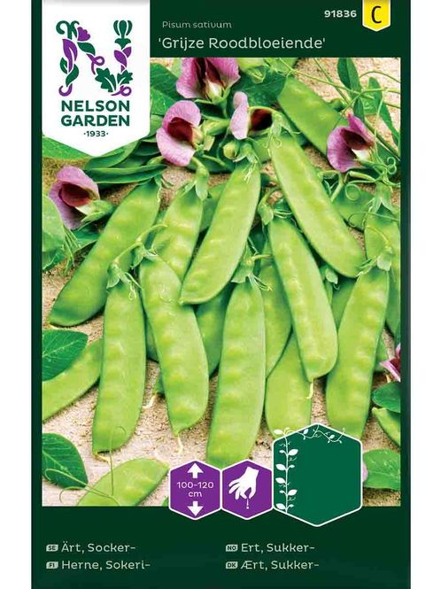 Hovedbilde Sukker-ert 'Grijze Roodbloeiende' høy