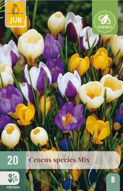 Hovedbilde Krokus, Botanisk- mix 20pk