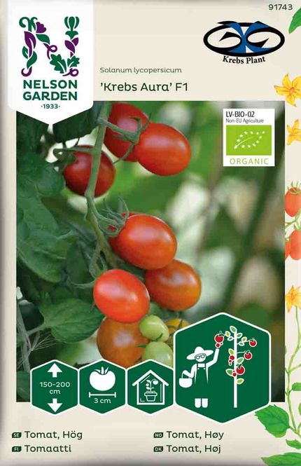 Hovedbilde Cherrytomat 'Krebs Aura' F1