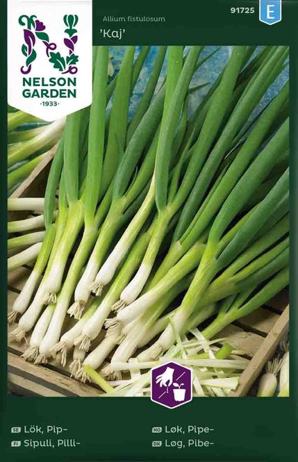 Hovedbilde Pipeløk 'Kaj'