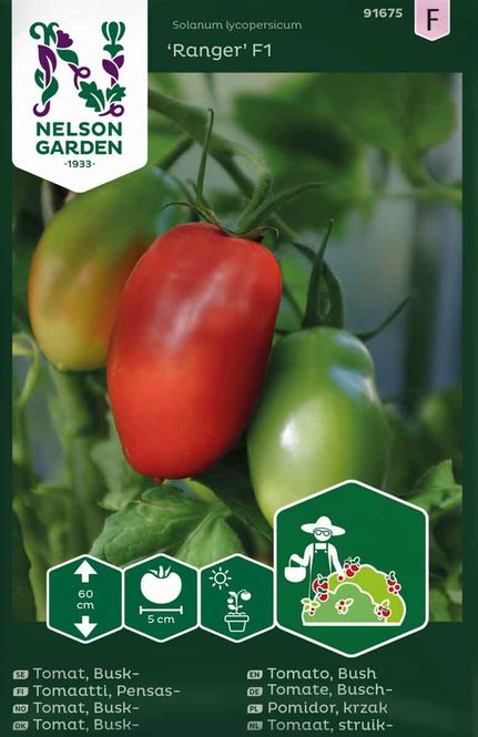 Hovedbilde Plommetomat 'Ranger' F1