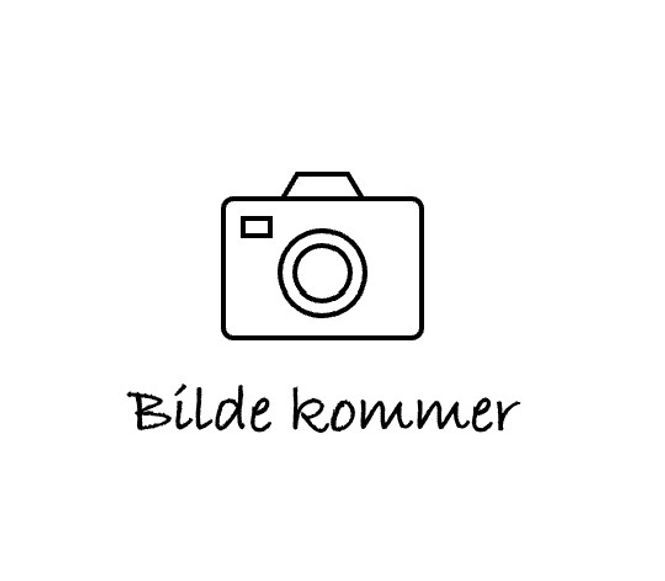 Hovedbilde Barlind 'Hillii'