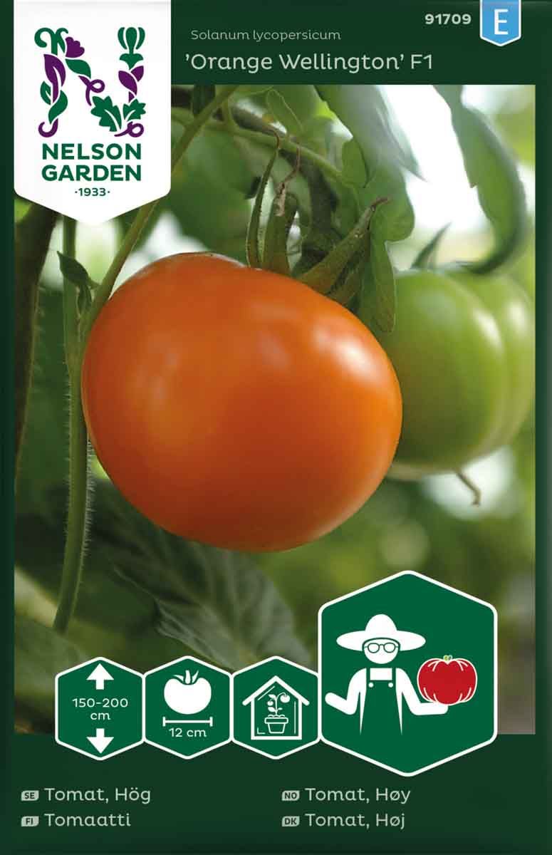 Bifftomat XL  'Orange Wellington' F1