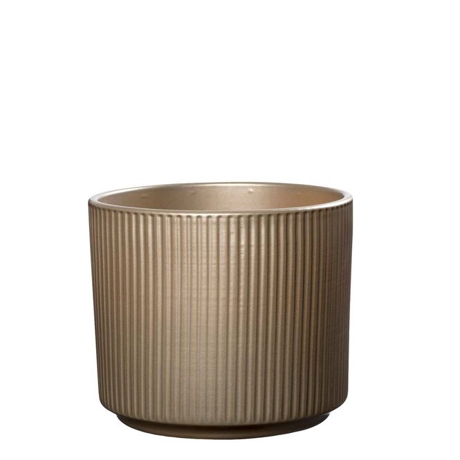 Hovedbilde Miami rund potte, Champagne