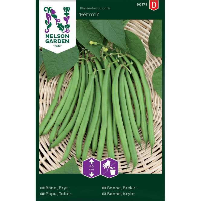 Hovedbilde Brekk-bønne 'Ferrari'