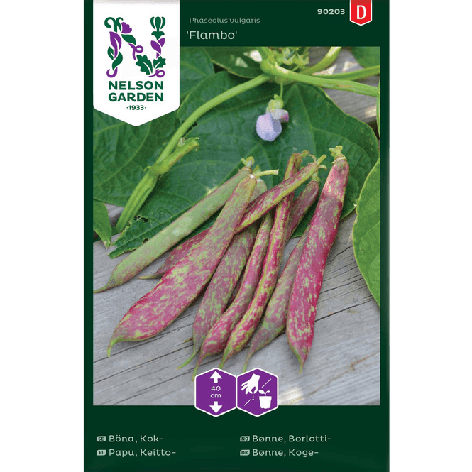 Hovedbilde Bønne 'Flambo'