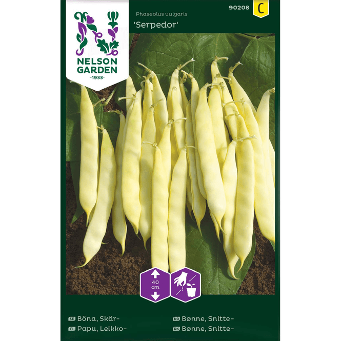 Hovedbilde Snitte-bønne 'Serpedor' lav