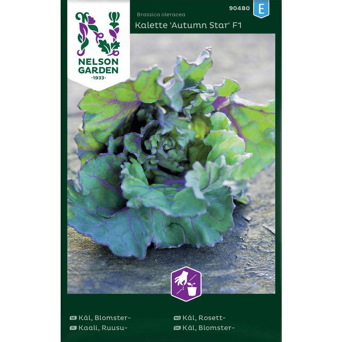 Hovedbilde Rosettkål 'Autumn Star'