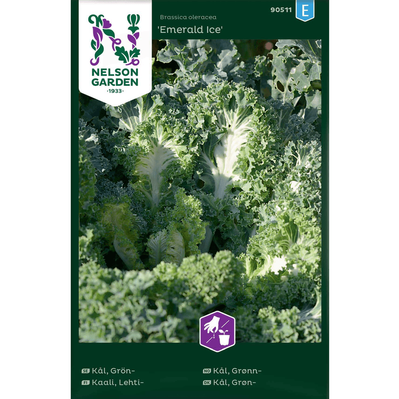 Grønnkål 'Emerald Ice'