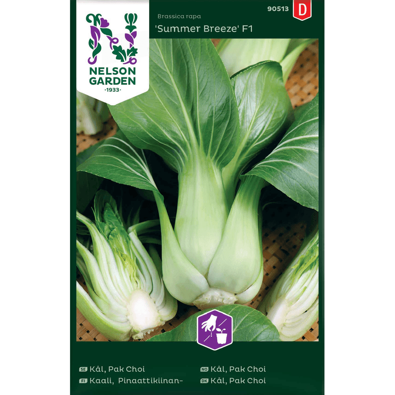 Pak Choi kål 'Summer Breeze 'F1