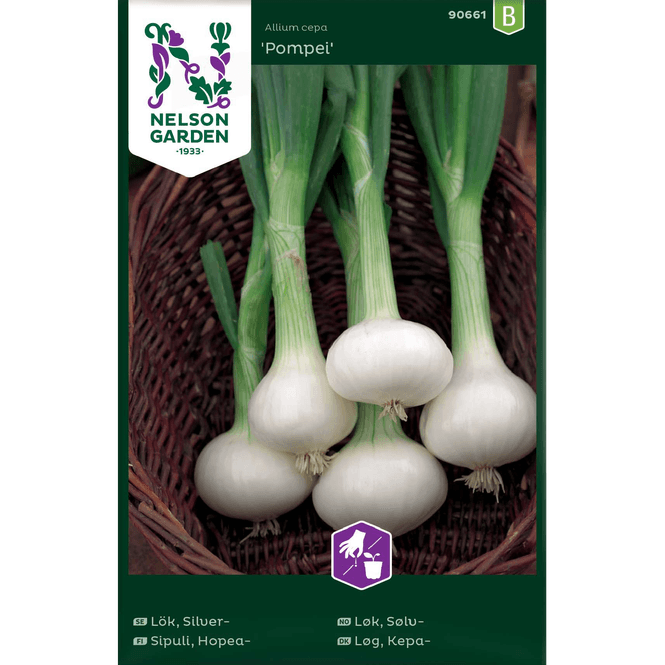 Hovedbilde Sølvløk 'Pompei'