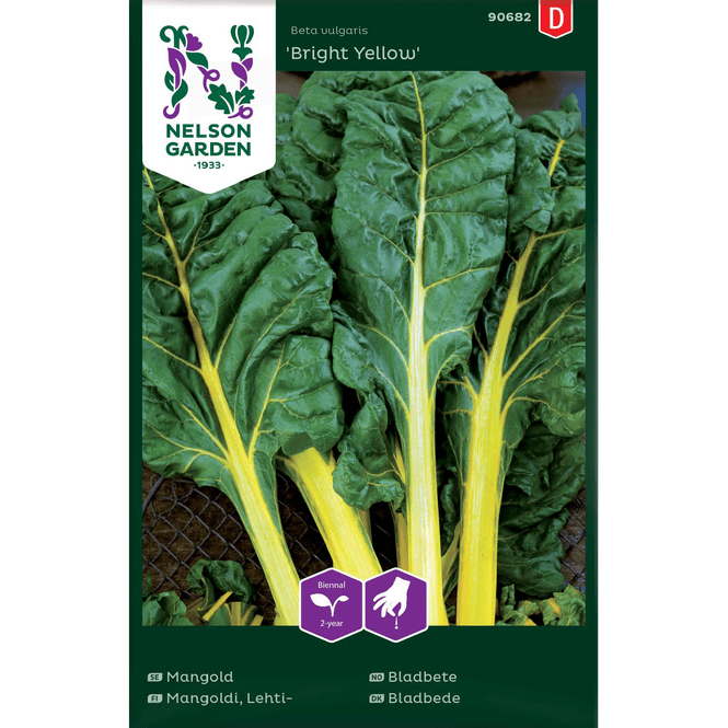 Hovedbilde Bladbete 'Bright Yellow' gul