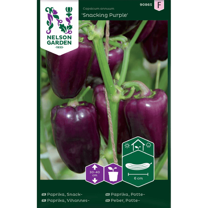 Hovedbilde Paprika, Potte- 'Snacking Purple'