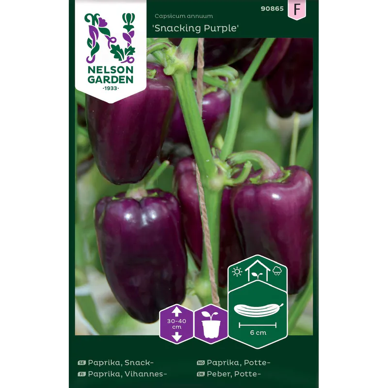 Paprika, Potte- 'Snacking Purple'