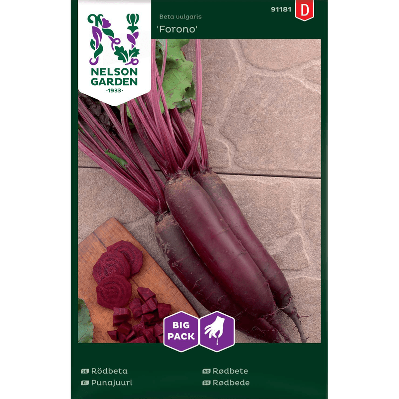 Rødbete 'Forono' stor pakke