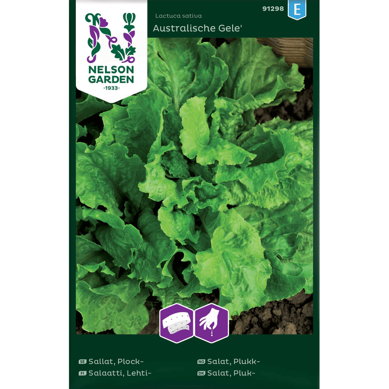 Plukksalat 'Australischer Gele' frøbånd