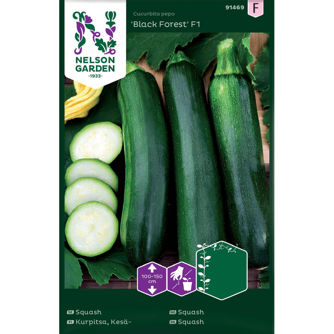 Hovedbilde Slyng-squash 'Black Forest' F1