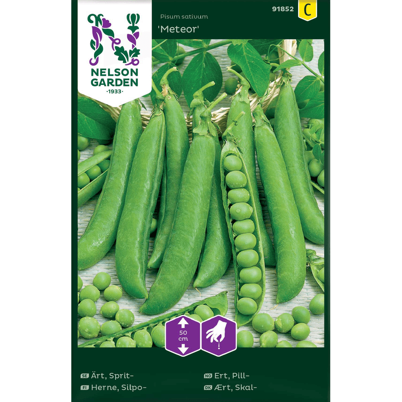 Pill-ert 'Meteor' lav