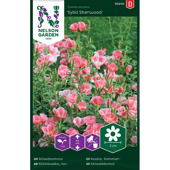 Hovedbilde Sommerasalia 'Sybil Sherwood'