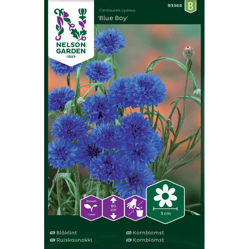 Kornblomst 'Blue Boy' blå