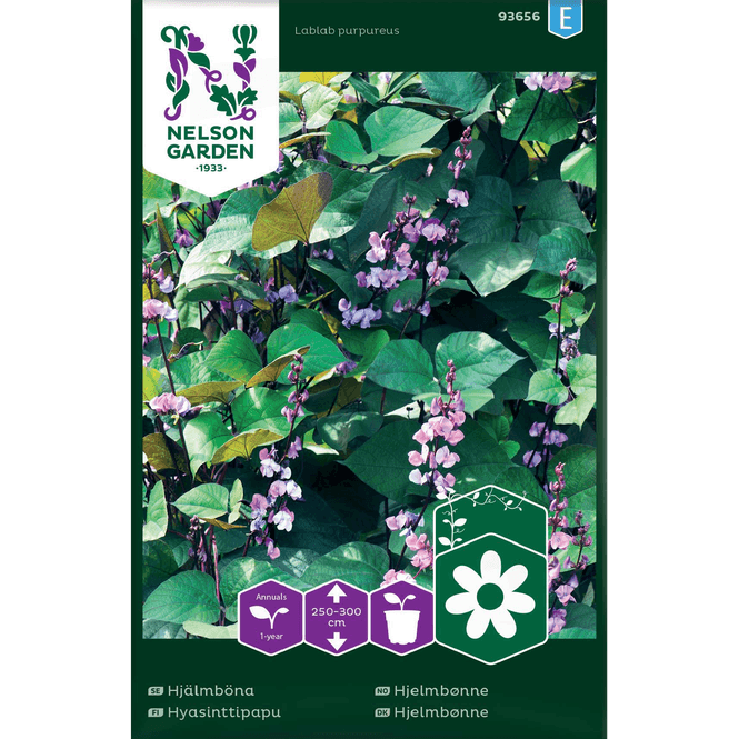 Hovedbilde Hjelmbønne