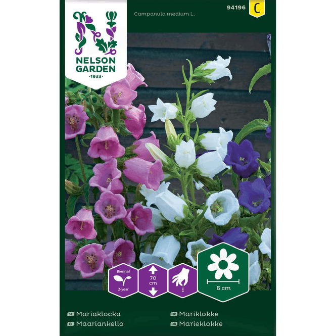 Hovedbilde Mariklokke enkel, blandede farger