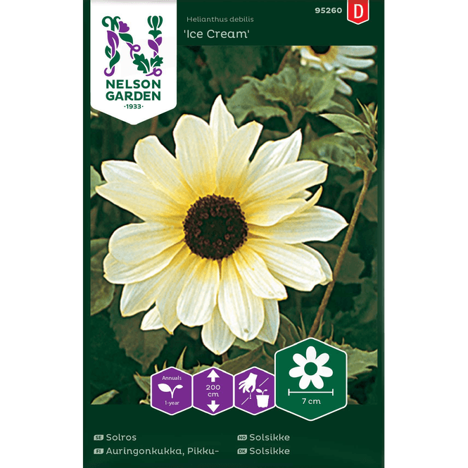 Hovedbilde Solsikke 'Ice Cream'