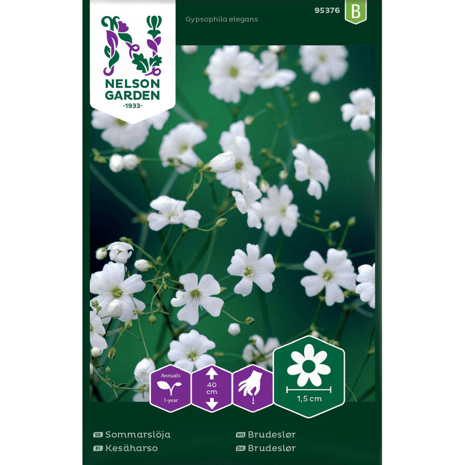 Hovedbilde Brudeslør, hvit