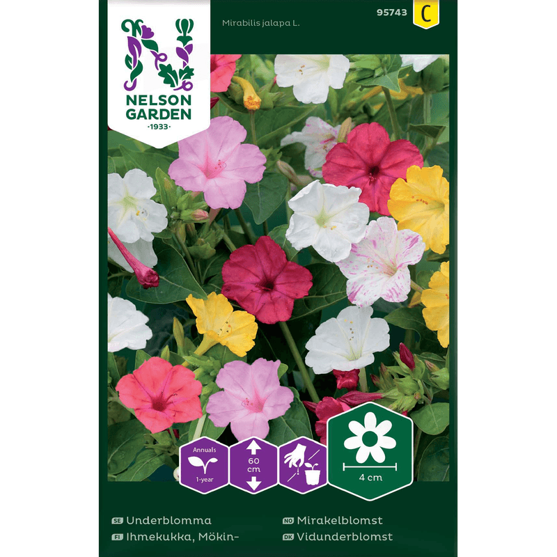 Mirakelblomst, blandede farger