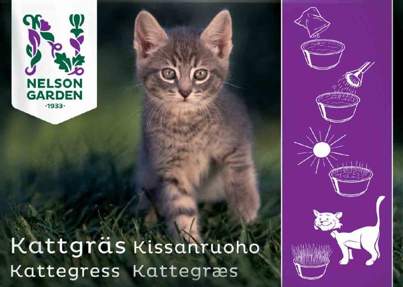 Kattegress, frø