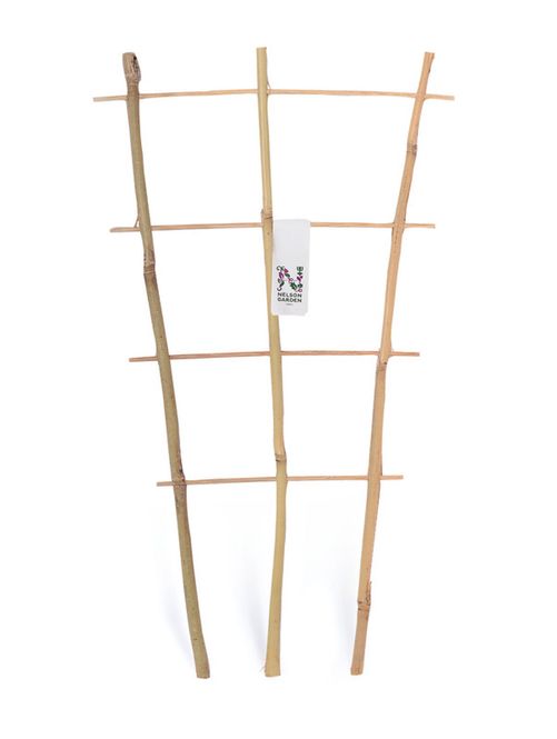 Hovedbilde Potteespalier bambus