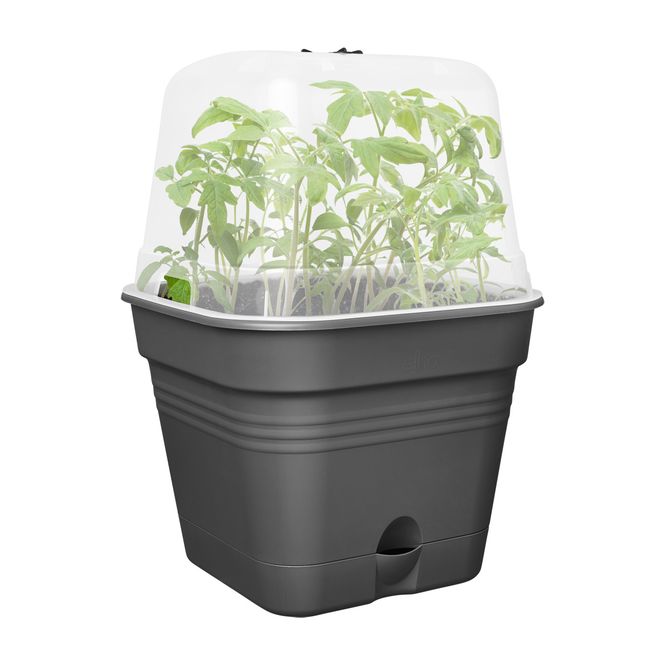 Hovedbilde Plantepotte med lokk