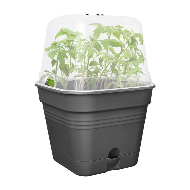 Plantepotte med lokk