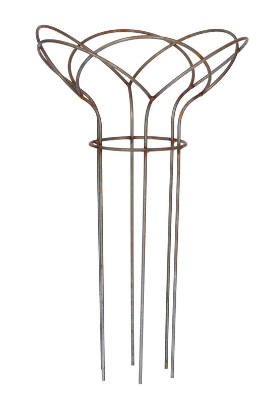 Staudestøtte, høyde 60 cm