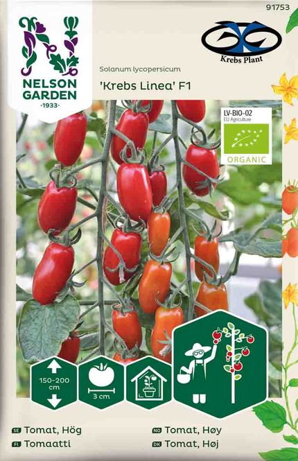Hovedbilde Cherrytomat 'Krebs Linea' F1