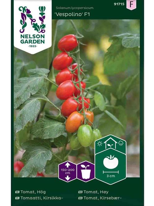 Hovedbilde Cherrytomat 'Vespolino'  F1