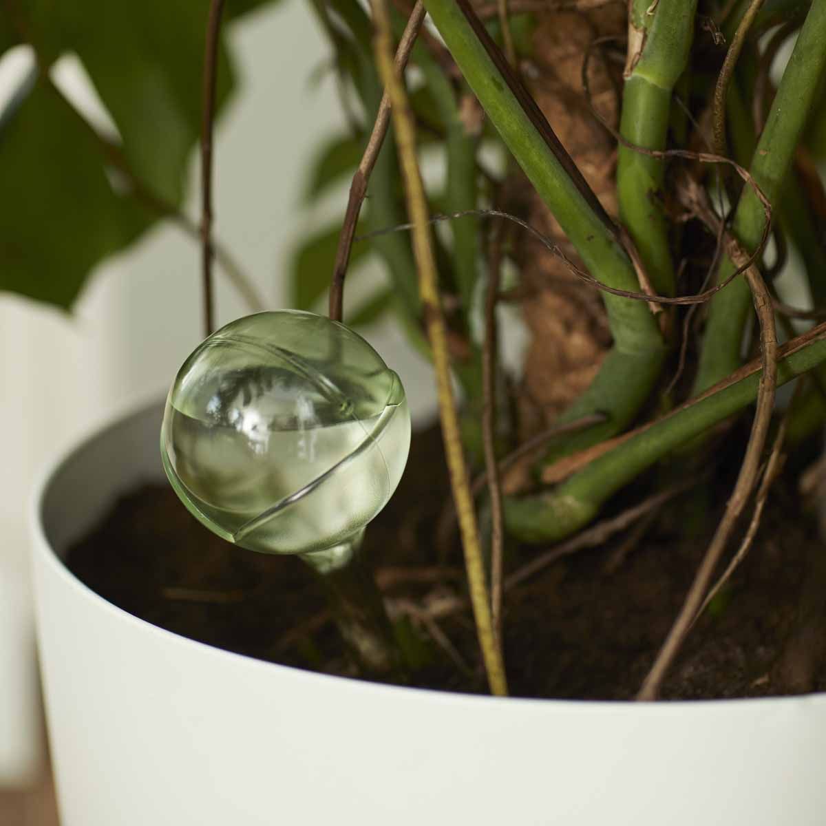 Selv-vanning 'aqua care' grønn 2stk