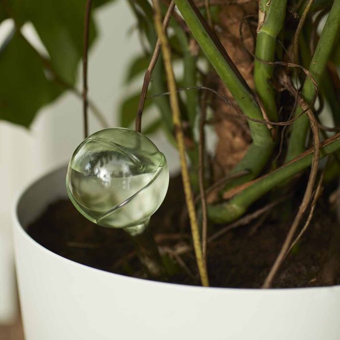 Hovedbilde Selv-vanning 'aqua care' grønn 2stk