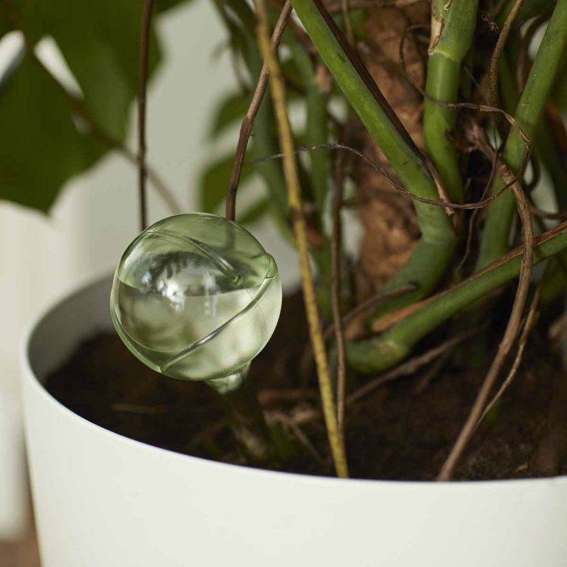 Selv-vanning 'aqua care' grønn 2stk